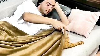 cute cat pranks