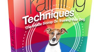تقنيات التدريب Training techniques