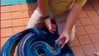 Healthy Snack Rainbow python