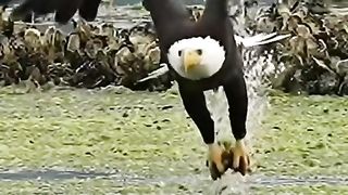 THE DANGER AK SHAKARI