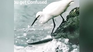Never give up 11