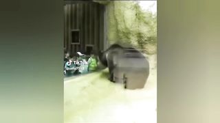 Funny TikToks that make my Monday better 48