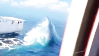 the appearance of a megalodon shark is very large