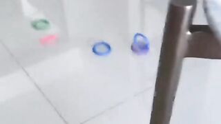 Funny Parrots
