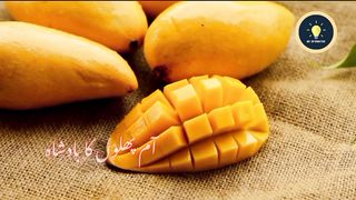 Healthy Benefits of Eating Mangoes || Aam k fayde || Amazing affects of Mango on Human health