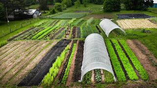 How to Start a Small Farm | A Step-by-Step Guide