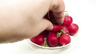 Store bought Radish re-Growing - Time-lapse