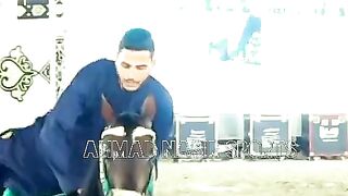 #best #of #world #top#arabic#horses#best#dance #momint #of#worldsytshort#youtubeshort#youtube#shorts
