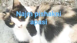 Tik tok#funny video  a good