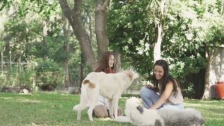 Pet dogs 2