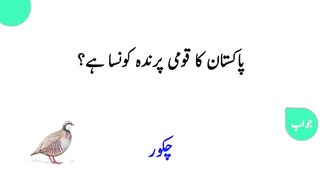 Most beautiful urdu Quotes 15