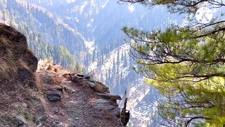 Earnwithasif 11