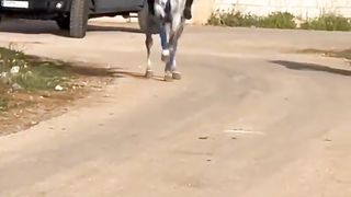 Earnwithasif 12