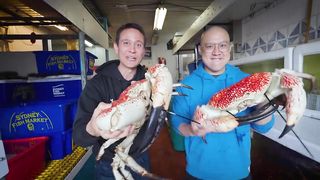 BIGGEST Crab I’ve Ever Seen!! ???? TASMANIAN KING CRAB - Cooked 3 Ways!!