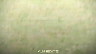 Cricket lover 7