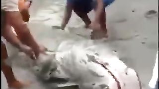 Salvem o Tubarão ????