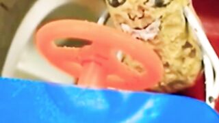 Funny videos #cheAt to man