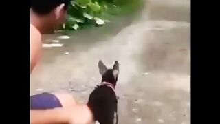 #funny cat ????‍⬛ just bike ???? sound