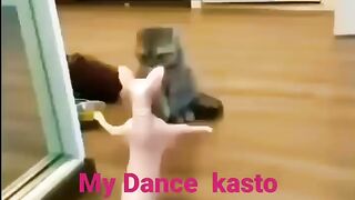 Funny ???? funny cat ???? funny dance ???? video with cat girl