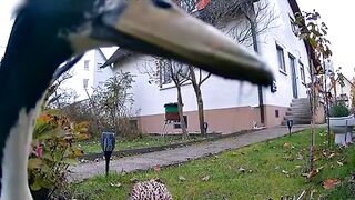 45 Incredible Moments Caught on CCTV Camera