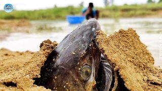 Catching unexpected fish