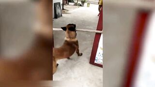 26 Most Ridiculous Moments