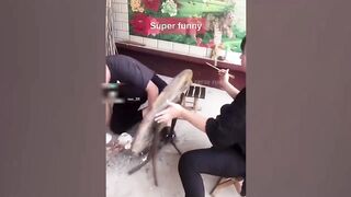 25 most stupid girls in the world
