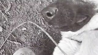 Funny Tik toks