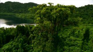 Raja Ampat Papua - Indonesia