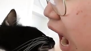 The Funniest Cat Videos on the Internet ????????