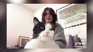 BEST DANK CAT MEMES COMPILATION OF 2020 PART 10 (from TikTok)