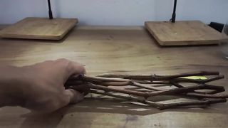 Growing grapes in pots from cutting until harvest in 240 days | Growing grapes in tropical country.
