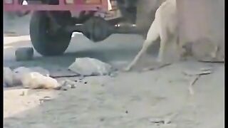 Приколи 110