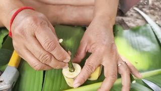 Awesome Grafting Technique How To Grow Avocado Tree Using Aloe Vera In Banana Fruit