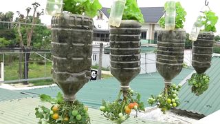 2 In 1 Hanging Garden To Grow Lettuce And Tomatoes, No Need For A Garden