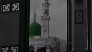 tiktokdownload.online_1686945328024.