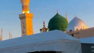 tiktokdownload.online_1686945205078.