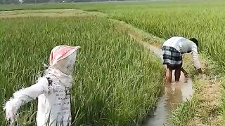 TRY NOT TO LAUGHING I Best Funny Videos Compilation 2023 # 379