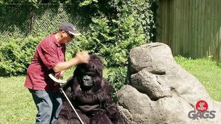 TRY NOT TO LAUGHING I Best Funny Videos Compilation 2023 # 382