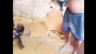 TRY NOT TO LAUGHING I Best Funny Videos Compilation 2023 # 383