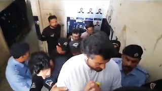 شیر انسان