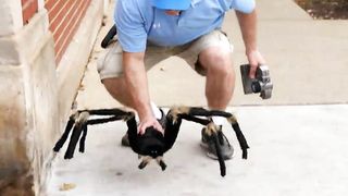 Big Spider Attack In The City - Remote Control - 4K (Situation X)