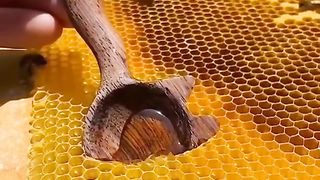 Natural Honey Amazing