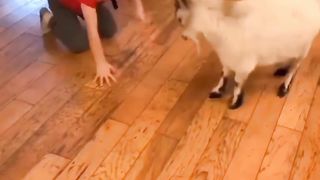 Just a couple of kids beingkids Funny