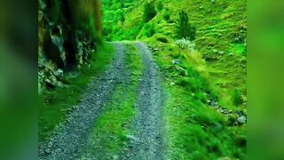 Beautiful Dalbani Village Mansehra KPK Pakistan