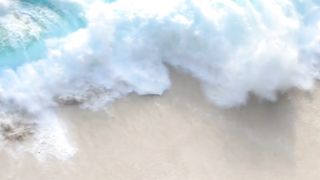 "Dive into an Aquatic Adventure!" #shortsviral #youtubeshorts