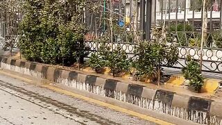 Brt bus service https://payup.video/u/205463
