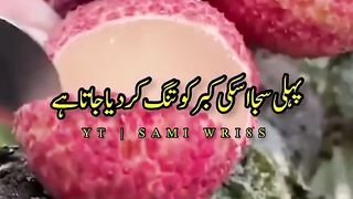 Hadees e Nabi  SAW