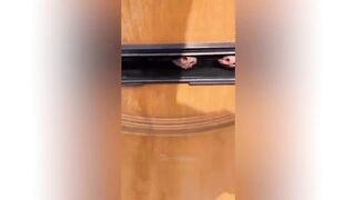 Best Funny Animal Videos Of The 2023- Funniest Cats And Dogs Videos