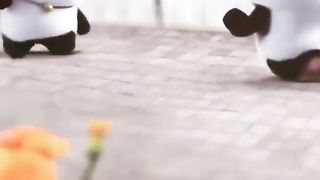 Panda lyubov